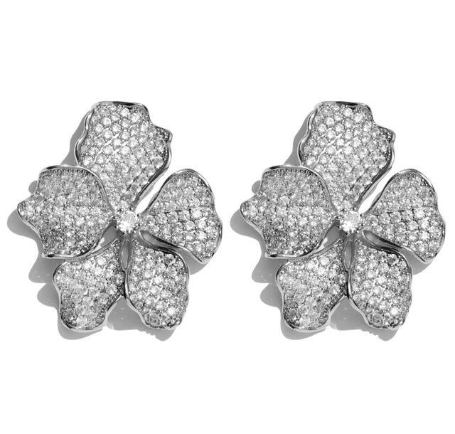 Lisa Earrings in Silver