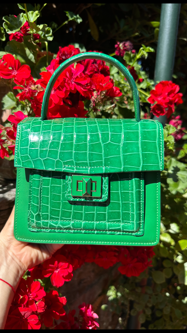 Divina Top Handle Croco handbag in Green