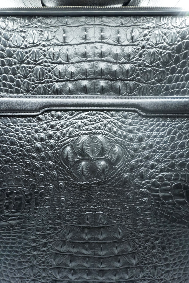 Black Faux Crocodile Luggage